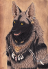 1239725400.qzurr hyena k 6666