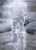 waterspirit resized
