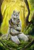 1264802702.alectorfencer bond