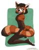 Playful Red Panda ...resized