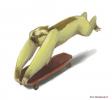 slothskater resized