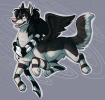 imm resized