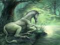 unicorn2