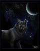 1161501772.myenia ...lf-copy