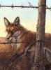HumanError by Blotch