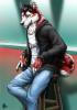 commission aadra