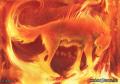 onfire resized