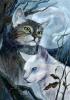 nightcat2