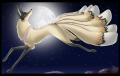 Twixt Paper Moons ...resized
