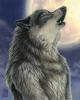 rising moon by Kacey .jpg