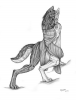 1251995584.qzurr d...olf 111