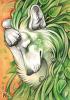 ACEO alectorfencer resized