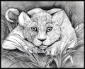 little prowler by ...resized