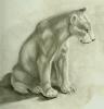 lion s by Keovi