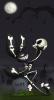 1255395567.chinca witch doctor