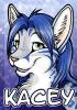 badge kacey by tan...d355ovi