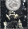 28Night Dream resized