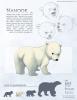 Nanook-characterpage resized