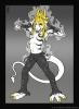 Tignar resized