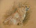 CheetahintheGrass  2  by Celty