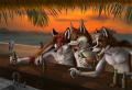 skifox Fsmall by Fluke