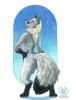 arctic starlet resized