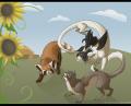 sunnehcommishFIN resized