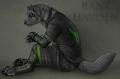 Rane s look by DarkIceWolf