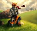 Fox Knight - �����