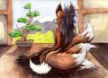1164315159.sebasti...kitsune