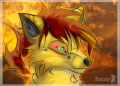 Alenn2 resized