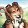 shepherd sheltie resized