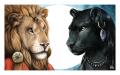 luna and sol resized