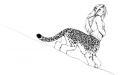 1236096585.cirabeau twi kitty