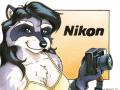 nikon