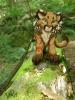 roki resized