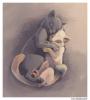 kittysnuggles resized