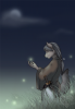 Fireflies by valentinecrow