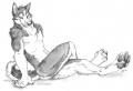 1205308312.blackte...nehusky