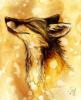 Random Fox by Culpeo Fox