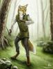 quinn yellowfox resized
