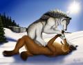 tussle by Myenia