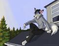 lookingwestfin by AmonOmega