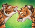 licks resized