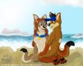 beachyotes resized