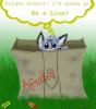 kipinnabox resized