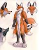 1258335866.sebasti...-redfox