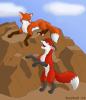 Fox and Rocks