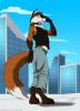 codie by Jako