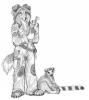 1259390898.bagheera balaaoc195